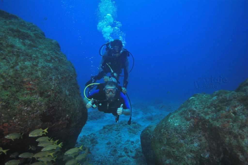 Tiago sendo levado pelo instrutor. Peixinhos estão por todos os lados.